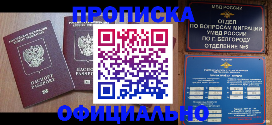 найти адрес прописки в Шумихе